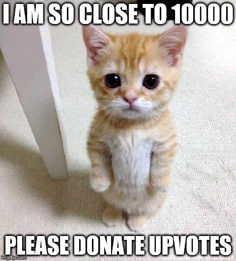 Cute Cat | I AM SO CLOSE TO 10000; PLEASE DONATE UPVOTES | image tagged in memes,cute cat | made w/ Imgflip meme maker