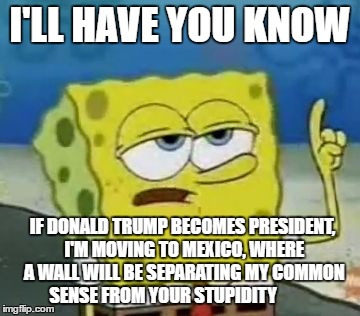 I'll Have You Know Spongebob | I'LL HAVE YOU KNOW; IF DONALD TRUMP BECOMES PRESIDENT, I'M MOVING TO MEXICO, WHERE A WALL WILL BE SEPARATING MY COMMON SENSE FROM YOUR STUPIDITY | image tagged in memes,ill have you know spongebob | made w/ Imgflip meme maker