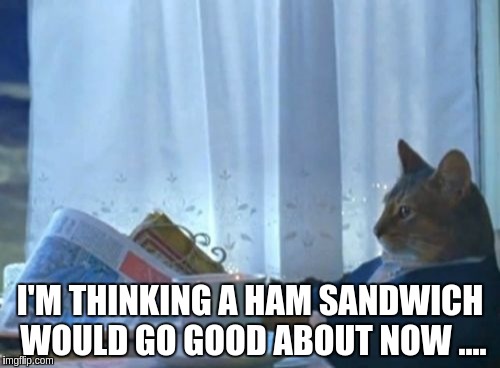 I Should Buy A Boat Cat | I'M THINKING A HAM SANDWICH WOULD GO GOOD ABOUT NOW .... | image tagged in memes,i should buy a boat cat | made w/ Imgflip meme maker