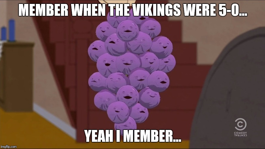 Member Berries | MEMBER WHEN THE VIKINGS WERE 5-0... YEAH I MEMBER... | image tagged in memes,member berries | made w/ Imgflip meme maker