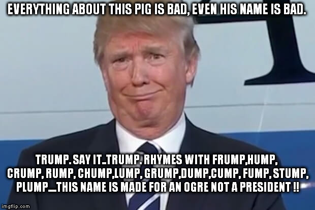 donald trump | EVERYTHING ABOUT THIS PIG IS BAD, EVEN HIS NAME IS BAD. TRUMP. SAY IT..TRUMP. RHYMES WITH FRUMP,HUMP, CRUMP, RUMP, CHUMP,LUMP, GRUMP,DUMP,CUMP, FUMP, STUMP, PLUMP....THIS NAME IS MADE FOR AN OGRE NOT A PRESIDENT !! | image tagged in donald trump,donaldtheclown,nevertrump,hillary2016,ogre,pig | made w/ Imgflip meme maker