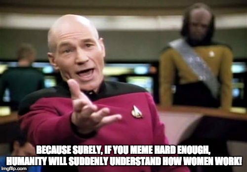 memes and women
 | BECAUSE SURELY, IF YOU MEME HARD ENOUGH, HUMANITY WILL SUDDENLY UNDERSTAND HOW WOMEN WORK! | image tagged in memes,picard wtf,women,wtf,how do they work | made w/ Imgflip meme maker