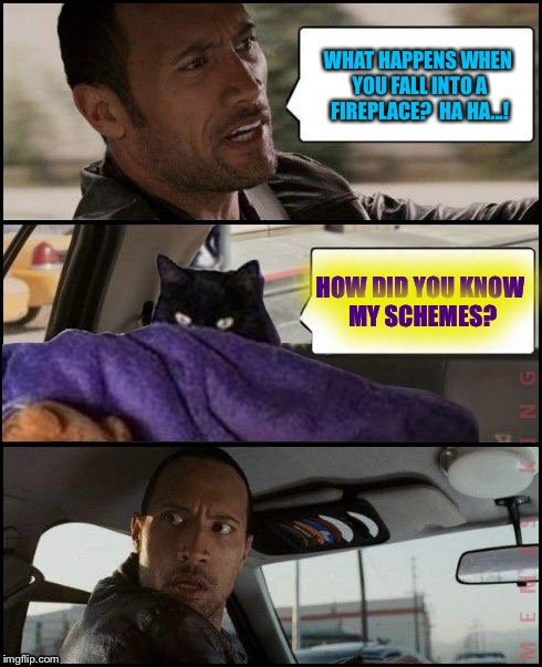 The Rock Driving Evil Cat | WHAT HAPPENS WHEN YOU FALL INTO A FIREPLACE?  HA HA...! HOW DID YOU KNOW MY SCHEMES? | image tagged in the rock driving evil cat | made w/ Imgflip meme maker