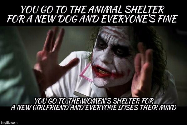 Everyone Loses Their Mind | image tagged in girlfriend,animal shelter,women's shelter,new girlfriend,the joker | made w/ Imgflip meme maker