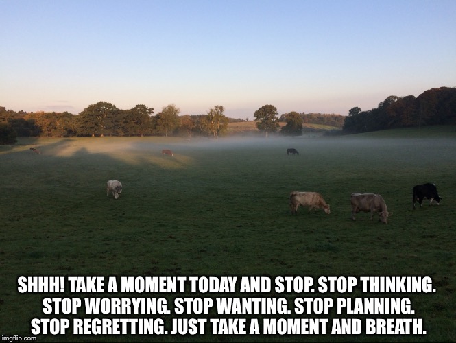 SHHH! TAKE A MOMENT TODAY AND STOP. STOP THINKING. STOP WORRYING. STOP WANTING. STOP PLANNING. STOP REGRETTING. JUST TAKE A MOMENT AND BREATH. | image tagged in memes | made w/ Imgflip meme maker