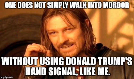 One Does Not Simply Meme |  ONE DOES NOT SIMPLY WALK INTO MORDOR; WITHOUT USING DONALD TRUMP'S HAND SIGNAL, LIKE ME. | image tagged in memes,one does not simply | made w/ Imgflip meme maker