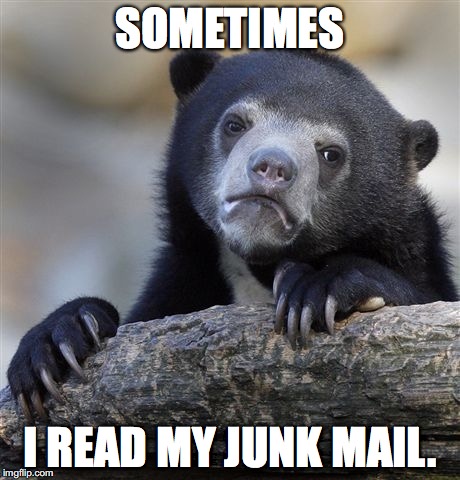 True story |  SOMETIMES; I READ MY JUNK MAIL. | image tagged in memes,confession bear,weekends suck,sundays,could be worse | made w/ Imgflip meme maker
