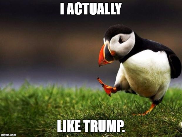 Unpopular Opinion Puffin |  I ACTUALLY; LIKE TRUMP. | image tagged in memes,unpopular opinion puffin,funny,trump,donald trump,trump 2016 | made w/ Imgflip meme maker
