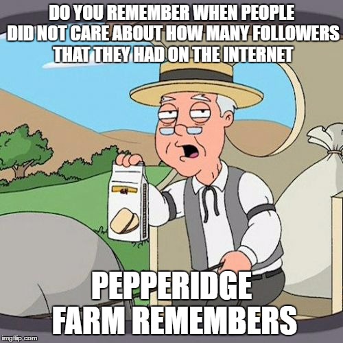 Pepperidge Farm Remembers Meme | DO YOU REMEMBER WHEN PEOPLE DID NOT CARE ABOUT HOW MANY FOLLOWERS THAT THEY HAD ON THE INTERNET; PEPPERIDGE FARM REMEMBERS | image tagged in memes,pepperidge farm remembers | made w/ Imgflip meme maker