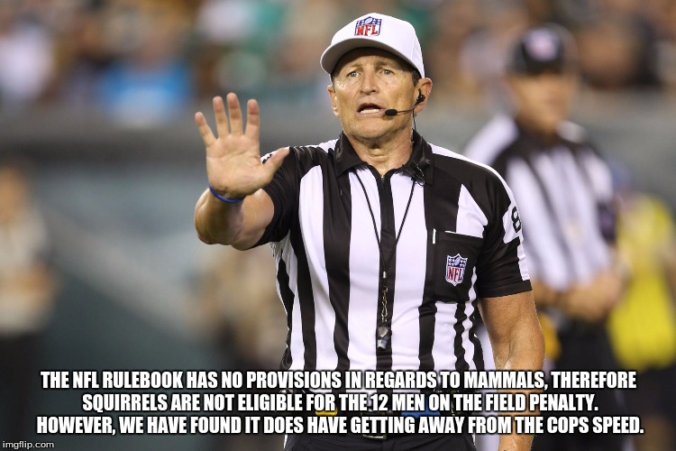 Squirrels on the field...as explained by Ed Hochuli | THE NFL RULEBOOK HAS NO PROVISIONS IN REGARDS TO MAMMALS, THEREFORE SQUIRRELS ARE NOT ELIGIBLE FOR THE 12 MEN ON THE FIELD PENALTY. HOWEVER, WE HAVE FOUND IT DOES HAVE GETTING AWAY FROM THE COPS SPEED. | image tagged in ed hochuli fallacy referee | made w/ Imgflip meme maker
