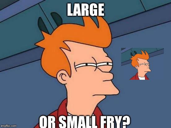 Sorry, we're out of medium... | LARGE; OR SMALL FRY? | image tagged in memes,futurama fry | made w/ Imgflip meme maker