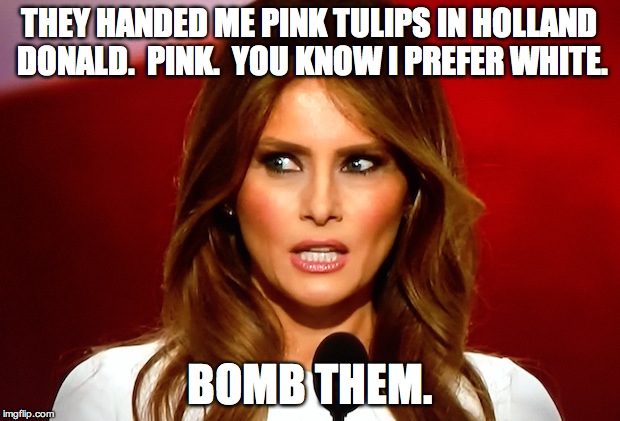 Melania trump  | THEY HANDED ME PINK TULIPS IN HOLLAND DONALD.  PINK.  YOU KNOW I PREFER WHITE. BOMB THEM. | image tagged in melania trump | made w/ Imgflip meme maker