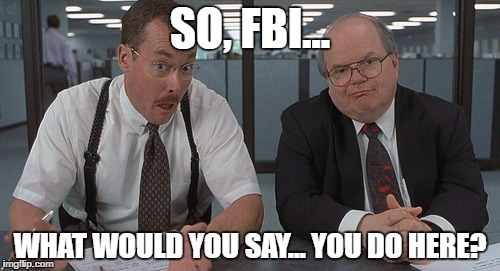 SO, FBI... WHAT WOULD YOU SAY... YOU DO HERE? | image tagged in the bobs,fbi,mflynny | made w/ Imgflip meme maker