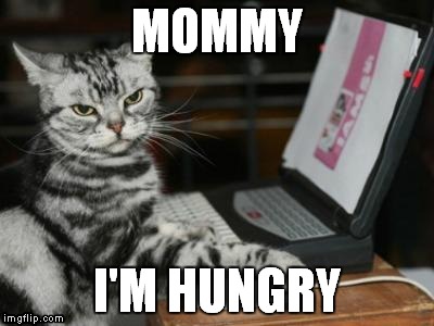 Cat computer | MOMMY; I'M HUNGRY | image tagged in cat computer | made w/ Imgflip meme maker