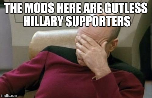 Captain Picard Facepalm | THE MODS HERE ARE GUTLESS HILLARY SUPPORTERS | image tagged in memes,captain picard facepalm | made w/ Imgflip meme maker