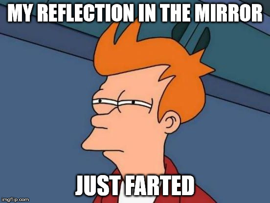 MY REFLECTION IN THE MIRROR JUST FARTED | made w/ Imgflip meme maker