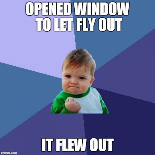 the boy & the fly | OPENED WINDOW TO LET FLY OUT; IT FLEW OUT | image tagged in memes,success kid,fly,boy,window | made w/ Imgflip meme maker