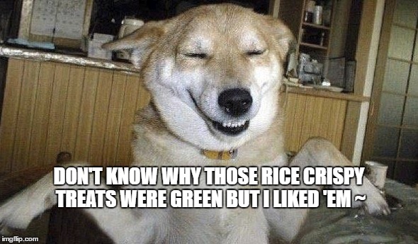 Happy Dog | DON'T KNOW WHY THOSE RICE CRISPY TREATS WERE GREEN BUT I LIKED 'EM ~ | image tagged in dogs,happy dog,weed,funny dogs,cute dog,cool dog | made w/ Imgflip meme maker