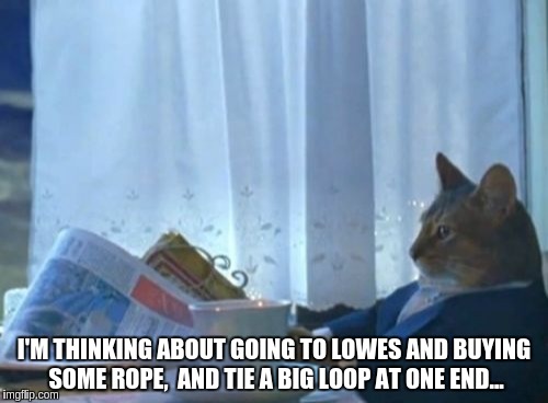 I Should Buy A Boat Cat Meme | I'M THINKING ABOUT GOING TO LOWES AND BUYING SOME ROPE,  AND TIE A BIG LOOP AT ONE END... | image tagged in memes,i should buy a boat cat | made w/ Imgflip meme maker