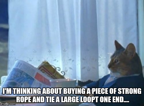 I Should Buy A Boat Cat Meme | I'M THINKING ABOUT BUYING A PIECE OF STRONG ROPE AND TIE A LARGE LOOPT ONE END.... | image tagged in memes,i should buy a boat cat | made w/ Imgflip meme maker
