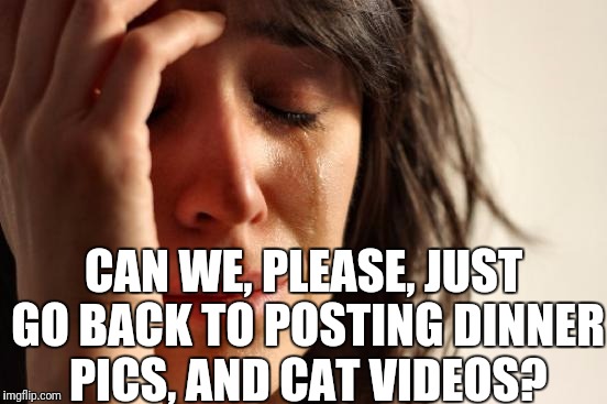 First World Problems | CAN WE, PLEASE, JUST GO BACK TO POSTING DINNER PICS, AND CAT VIDEOS? | image tagged in memes,first world problems | made w/ Imgflip meme maker