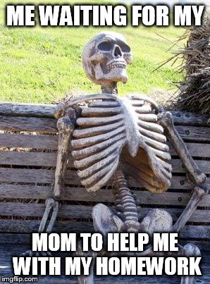 Stupid facebook | ME WAITING FOR MY; MOM TO HELP ME WITH MY HOMEWORK | image tagged in memes,waiting skeleton | made w/ Imgflip meme maker