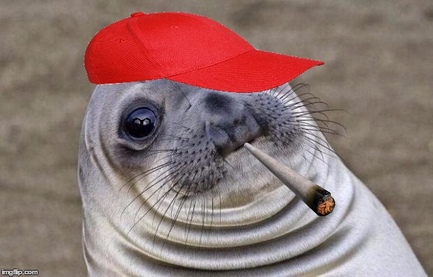 Awkward Moment Sealion Meme | _ | image tagged in memes,awkward moment sealion | made w/ Imgflip meme maker