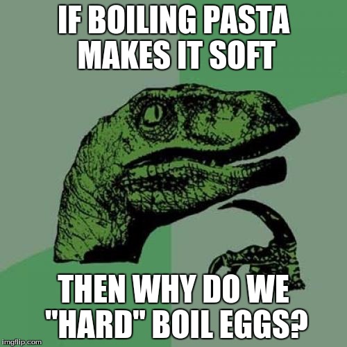 Philosoraptor | IF BOILING PASTA MAKES IT SOFT; THEN WHY DO WE "HARD" BOIL EGGS? | image tagged in memes,philosoraptor | made w/ Imgflip meme maker