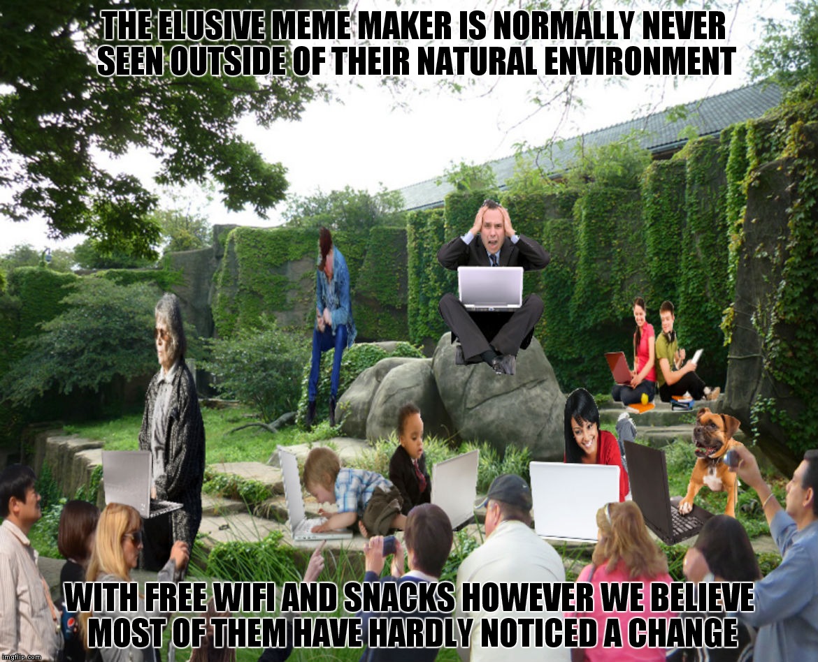 I know I have lived in worse places... | THE ELUSIVE MEME MAKER IS NORMALLY NEVER SEEN OUTSIDE OF THEIR NATURAL ENVIRONMENT; WITH FREE WIFI AND SNACKS HOWEVER WE BELIEVE MOST OF THEM HAVE HARDLY NOTICED A CHANGE | image tagged in memestrocity,meme maker,zoo,exhibition | made w/ Imgflip meme maker