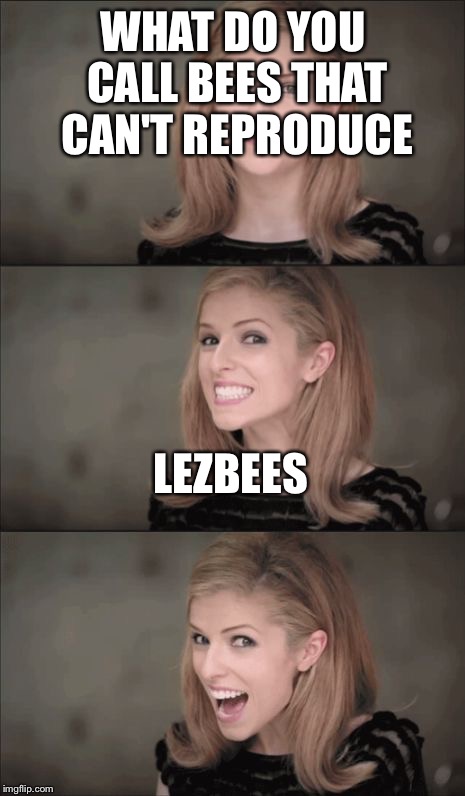 Bad Pun Anna Kendrick | WHAT DO YOU CALL BEES THAT CAN'T REPRODUCE; LEZBEES | image tagged in memes,bad pun anna kendrick | made w/ Imgflip meme maker