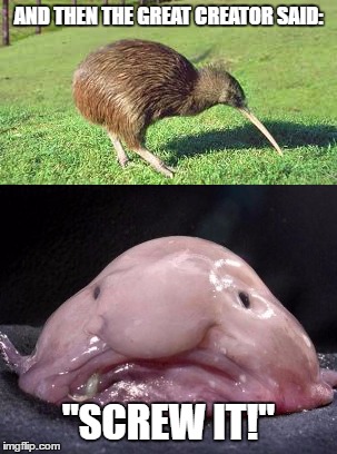 Blobfish Meme Generator - Imgflip