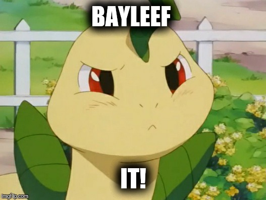 Bayleef Pun | BAYLEEF; IT! | image tagged in pokemon | made w/ Imgflip meme maker