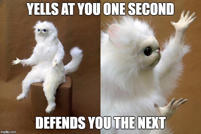 Persian Cat Room Guardian Meme | YELLS AT YOU ONE SECOND; DEFENDS YOU THE NEXT | image tagged in memes,persian cat room guardian | made w/ Imgflip meme maker