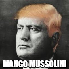 Il Douche | MANGO MUSSOLINI | image tagged in donald trump,mussolini,mango,mango mussolini,donald trump 2016,donald trump hair | made w/ Imgflip meme maker