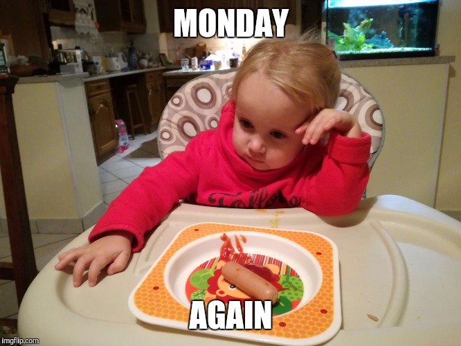 resignedly | MONDAY; AGAIN | image tagged in resignedly | made w/ Imgflip meme maker