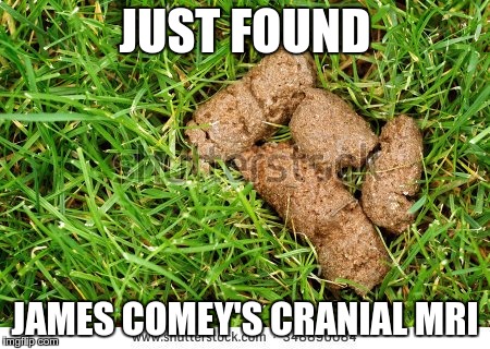JUST FOUND; JAMES COMEY'S CRANIAL MRI | image tagged in comey | made w/ Imgflip meme maker