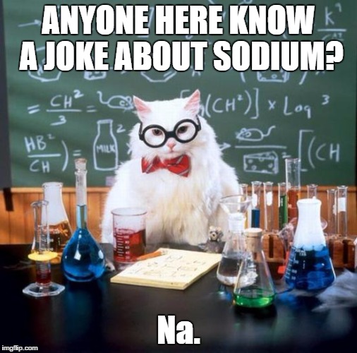 This joke is sodium good! | ANYONE HERE KNOW A JOKE ABOUT SODIUM? Na. | image tagged in memes,puns,science cat,cat | made w/ Imgflip meme maker