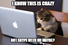 cat on computer | I KNOW THIS IS CRAZY; BUT SKYPE WITH ME MAYBE? | image tagged in cat,computer,kitten,skype | made w/ Imgflip meme maker