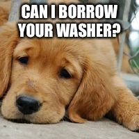 Sad Puppy  | CAN I BORROW YOUR WASHER? | image tagged in sad puppy | made w/ Imgflip meme maker