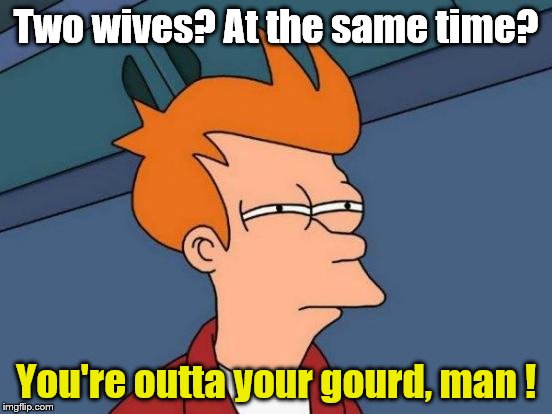 Futurama Fry Meme | Two wives? At the same time? You're outta your gourd, man ! | image tagged in memes,futurama fry | made w/ Imgflip meme maker