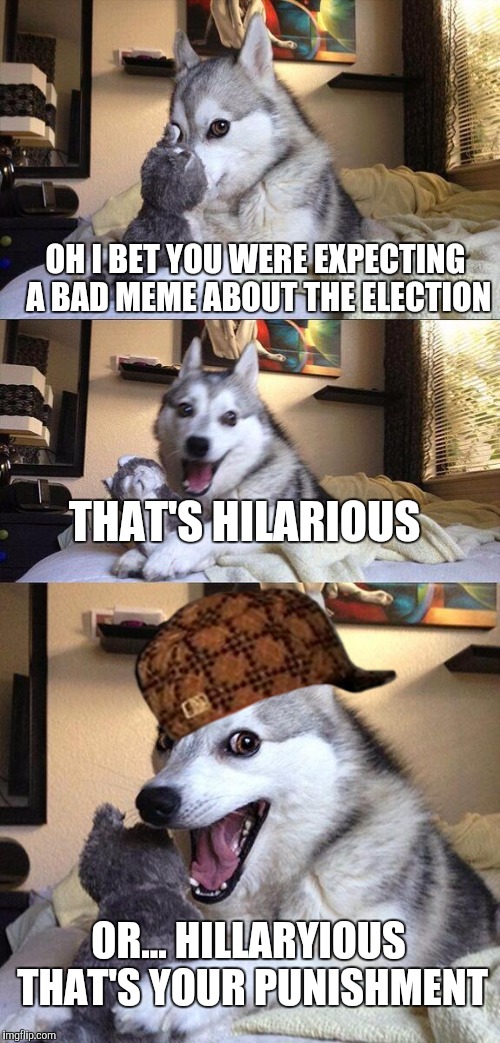 Bad Pun Dog |  OH I BET YOU WERE EXPECTING A BAD MEME ABOUT THE ELECTION; THAT'S HILARIOUS; OR... HILLARYIOUS THAT'S YOUR PUNISHMENT | image tagged in memes,bad pun dog,scumbag | made w/ Imgflip meme maker