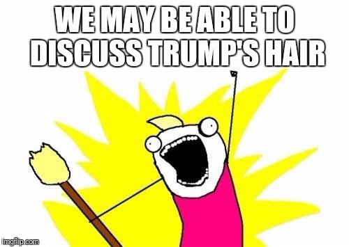 WE MAY BE ABLE TO DISCUSS TRUMP'S HAIR | image tagged in memes,x all the y | made w/ Imgflip meme maker