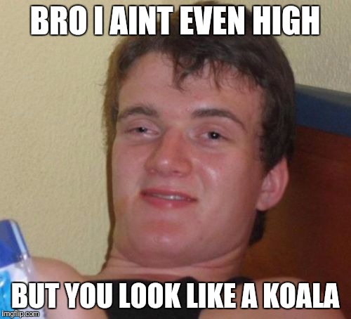 10 Guy Meme | BRO I AINT EVEN HIGH; BUT YOU LOOK LIKE A KOALA | image tagged in memes,10 guy | made w/ Imgflip meme maker