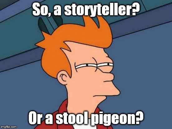 Futurama Fry Meme | So, a storyteller? Or a stool pigeon? | image tagged in memes,futurama fry | made w/ Imgflip meme maker