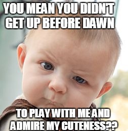 Skeptical Baby Meme | YOU MEAN YOU DIDN'T GET UP BEFORE DAWN TO PLAY WITH ME AND ADMIRE MY CUTENESS?? | image tagged in memes,skeptical baby | made w/ Imgflip meme maker