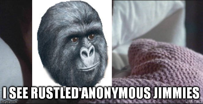 I SEE RUSTLED ANONYMOUS JIMMIES | made w/ Imgflip meme maker