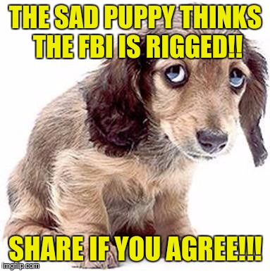 Sad puppy | THE SAD PUPPY THINKS THE FBI IS RIGGED!! SHARE IF YOU AGREE!!! | image tagged in sad puppy | made w/ Imgflip meme maker