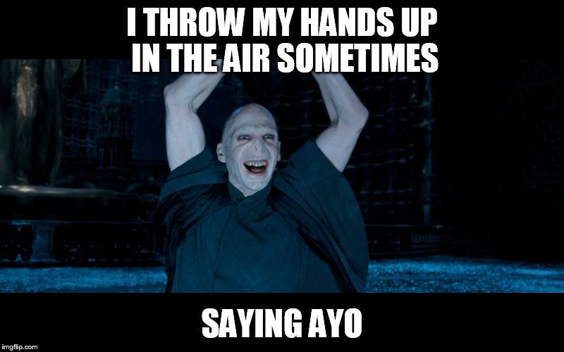 aint to party like a voldemort party  !  | I THROW MY HANDS UP IN THE AIR SOMETIMES; SAYING AYO | image tagged in voldemort,lol so funny | made w/ Imgflip meme maker