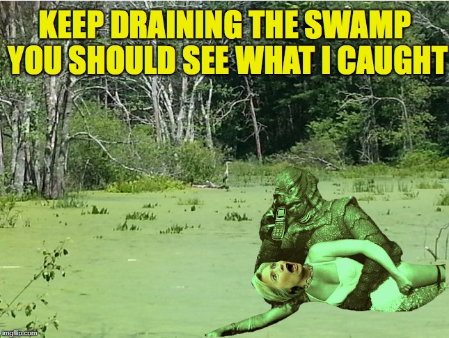 Drain The Swamp: It’s About Slime | KEEP DRAINING THE SWAMP YOU SHOULD SEE WHAT I CAUGHT | image tagged in election 2016,trump 2016,hillary clinton 2016 | made w/ Imgflip meme maker