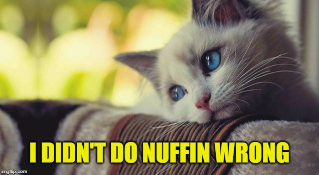 I DIDN'T DO NUFFIN WRONG | made w/ Imgflip meme maker